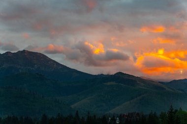 Dağ manzaralı orman manzarası Polonya Zakopane