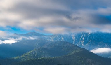 Dağ manzaralı orman manzarası Polonya Zakopane