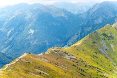 Dağ manzarası Polonya Zakopane
