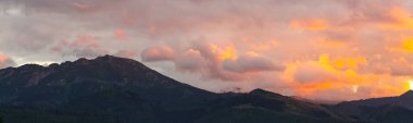 Dağ manzaralı orman manzarası Polonya Zakopane