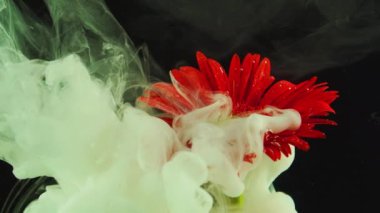 Çiçek sualtı fotoğrafı mürekkep boyası