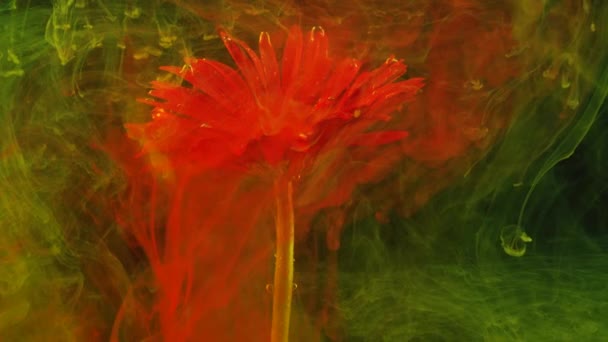 Çiçek Sualtı Fotoğrafı Mürekkep Boyası — Stok video