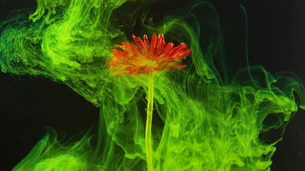Květina Pod Vodou Střela Inkoust Barva — Stock video