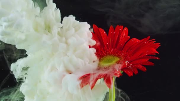 Květina Pod Vodou Střela Inkoust Barva — Stock video