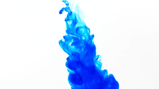 Tinte Erschossen Wasser Zeitlupe Farbe — Stockvideo
