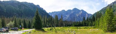 Dağ manzaralı orman manzarası Polonya Zakopane