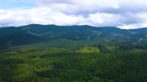 Thüringen Ormanı Yeşil Ormanları Almanya Nın Alçak Dağlarını Çevreleyen Manzaralar — Stok video