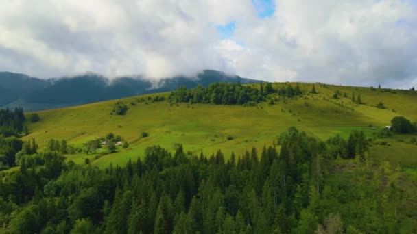 Thüringer Wald Grüne Wälder Malerische Landschaften Mittelgebirgsraum Deutschland — Stockvideo