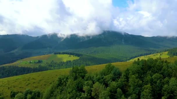 Туринзький Ліс Зелені Ліси Мальовничі Пейзажі Навколо Низьких Горбистих Гір — стокове відео