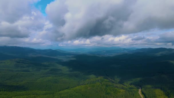 图林根森林绿林 环绕低丘陵地带的风景如画的德国 — 图库视频影像