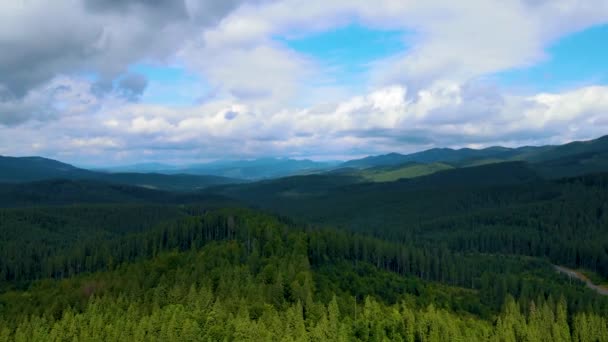 Durynský Les Zelené Lesy Malebné Krajiny Obklopující Nízké Kopcovité Hory — Stock video