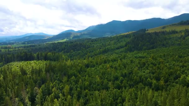 Thuringian Forest Green Forests Picturesque Landscapes Surrounding Low Hilly Mountains — Stock Video