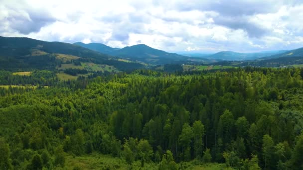 Thüringer Wald Grüne Wälder Malerische Landschaften Mittelgebirgsraum Deutschland — Stockvideo