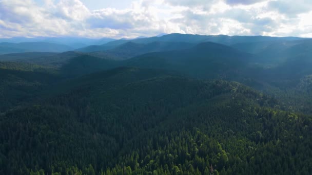Cordillera Schwarzwald Baden Wrttemberg Suroeste Alemania Moderna Vista Aérea Drone — Vídeo de stock
