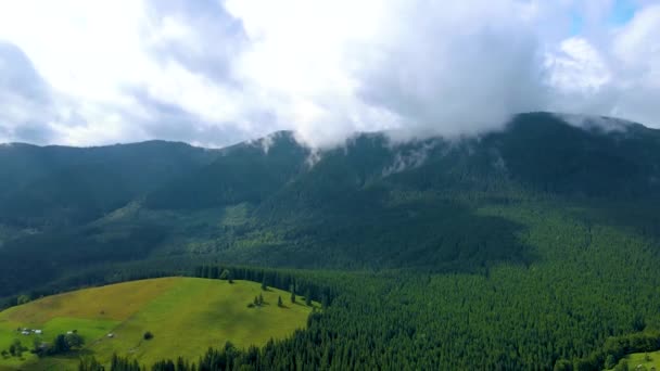 Cordillera Schwarzwald Baden Wrttemberg Suroeste Alemania Moderna Vista Aérea Drone — Vídeos de Stock