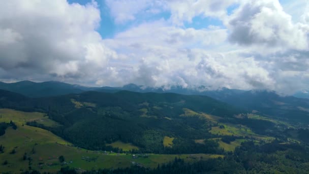 독일의 남서쪽에 Wrttemberg에 Schwarzwald 항공기 — 비디오