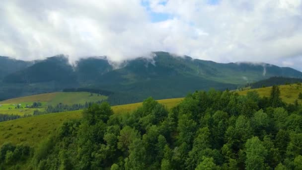 Chaîne Montagnes Schwarzwald Baden Wrttemberg Dans Sud Ouest Allemagne Moderne — Video