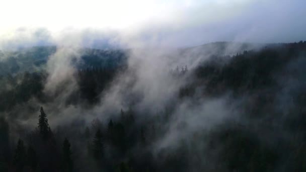 남부의 포레스트의 블루엔 산에서 벨첸까지의 — 비디오