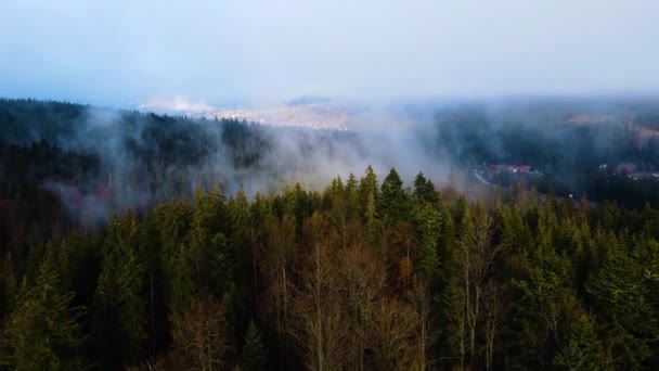ドイツ南部の黒い森の曇った霧の危険を飛行する無人機 ブラウン山からベルチェンへのブラックフォレストビュー — ストック動画