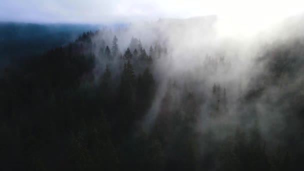 Vliegende Drone Bewolkte Mist Van Het Zwarte Woud Zuid Duitsland — Stockvideo