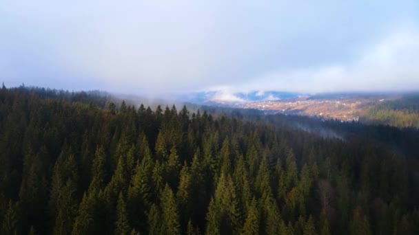 Drone Volant Dessus Brume Brouillard Nuageux Forêt Noire Dans Sud — Video