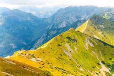 Dağ manzarası Polonya Zakopane