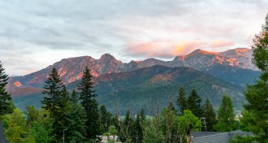 Dağ manzaralı orman manzarası Polonya Zakopane