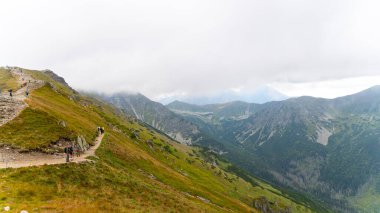 Dağlara tırmanan turistler orman tatili Zakopane Polonya 28 Ağustos 2023