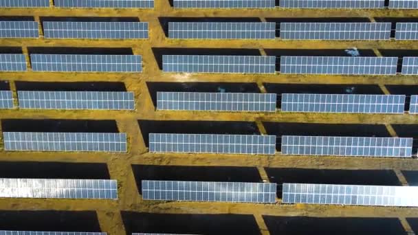 Вид Повітря Великої Електростанції Багатьма Рядами Сонячних Фотоелектричних Панелей Виробництва — стокове відео