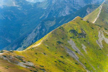 Dağ manzarası Polonya Zakopane