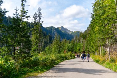 Dağlara tırmanan turistler orman tatili