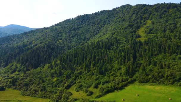 Drone Survolant Montagne Blauen Belchen Forêt Noire Allemagne — Video