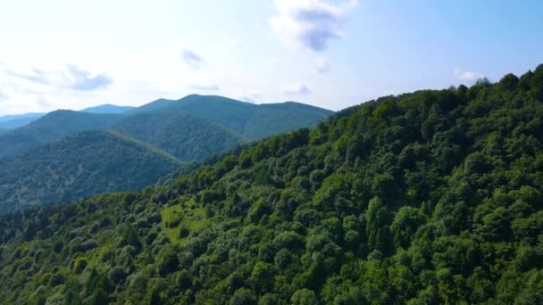 Drone Volando Sobre Montaña Blauen Belchen Selva Negra Alemania — Vídeo de stock
