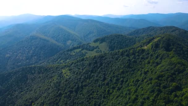 Drone Voando Sobre Montanha Blauen Belchen Floresta Negra Alemanha — Vídeo de Stock