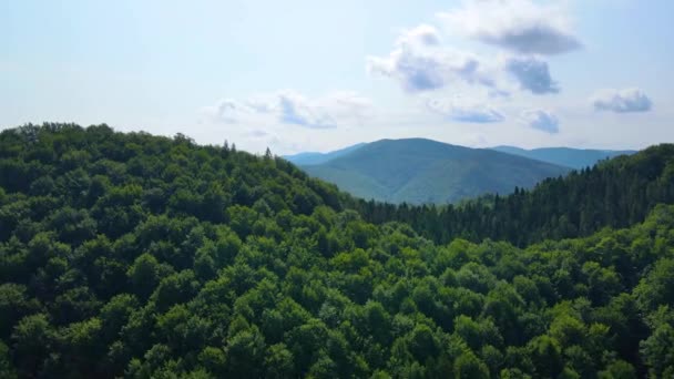 Drone Che Sorvola Montagna Blauen Belchen Foresta Nera Germania — Video Stock
