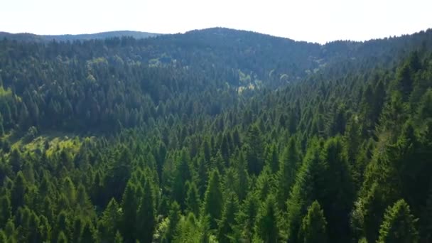 Drone Που Πετά Πάνω Από Βουνό Blauen Στο Belchen Black — Αρχείο Βίντεο