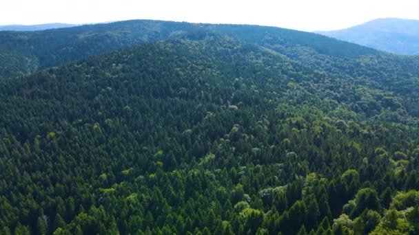 Drone Volando Sobre Montaña Blauen Belchen Selva Negra Alemania — Vídeos de Stock