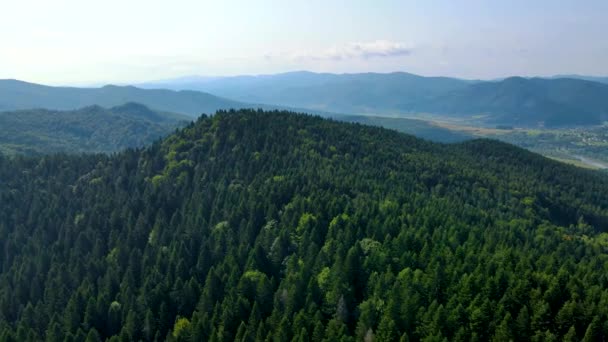 Drone Voando Sobre Montanha Blauen Belchen Floresta Negra Alemanha — Vídeo de Stock