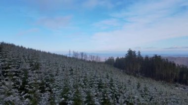 Taunus - Hesse, Almanya 'da bir dağ kozalaklı ormanın insansız hava aracından görülen bir dağ sırasıdır..