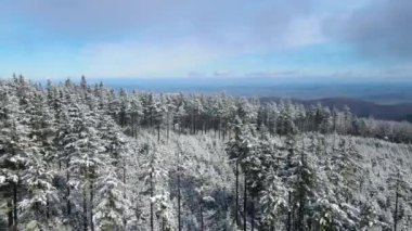 Taunus - Hesse, Almanya 'da bir dağ kozalaklı ormanın insansız hava aracından görülen bir dağ sırasıdır..