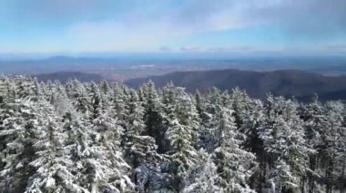 Taunus - Hesse, Almanya 'da bir dağ kozalaklı ormanın insansız hava aracından görülen bir dağ sırasıdır..