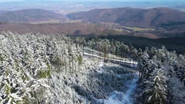 Taunus - Hesse, Almanya 'da bir dağ kozalaklı ormanın insansız hava aracından görülen bir dağ sırasıdır..