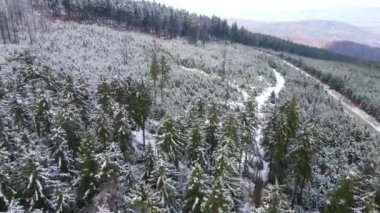 Taunus - Hesse, Almanya 'da bir dağ kozalaklı ormanın insansız hava aracından görülen bir dağ sırasıdır..