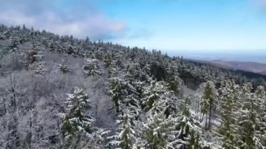 Taunus - Hesse, Almanya 'da bir dağ kozalaklı ormanın insansız hava aracından görülen bir dağ sırasıdır..