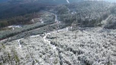 Taunus - Hesse, Almanya 'da bir dağ kozalaklı ormanın insansız hava aracından görülen bir dağ sırasıdır..