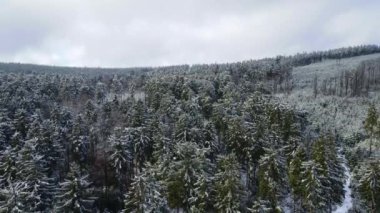Taunus - Hesse, Almanya 'da bir dağ kozalaklı ormanın insansız hava aracından görülen bir dağ sırasıdır..