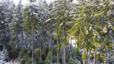 Taunus - Hesse, Almanya 'da bir dağ kozalaklı ormanın insansız hava aracından görülen bir dağ sırasıdır..