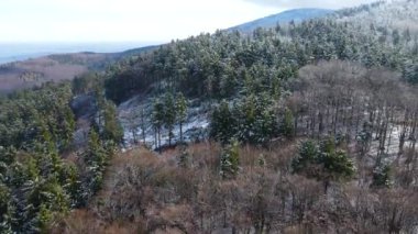 Taunus - Hesse, Almanya 'da bir dağ kozalaklı ormanın insansız hava aracından görülen bir dağ sırasıdır..
