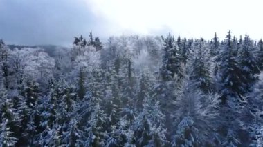 Taunus - Hesse, Almanya 'da bir dağ kozalaklı ormanın insansız hava aracından görülen bir dağ sırasıdır..
