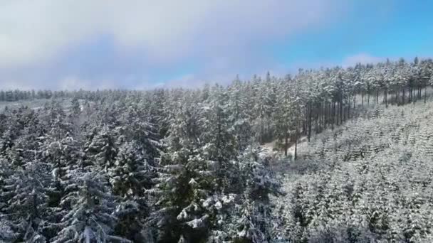 Taunus Une Chaîne Montagnes Vue Drone Une Forêt Conifères Montagne — Video